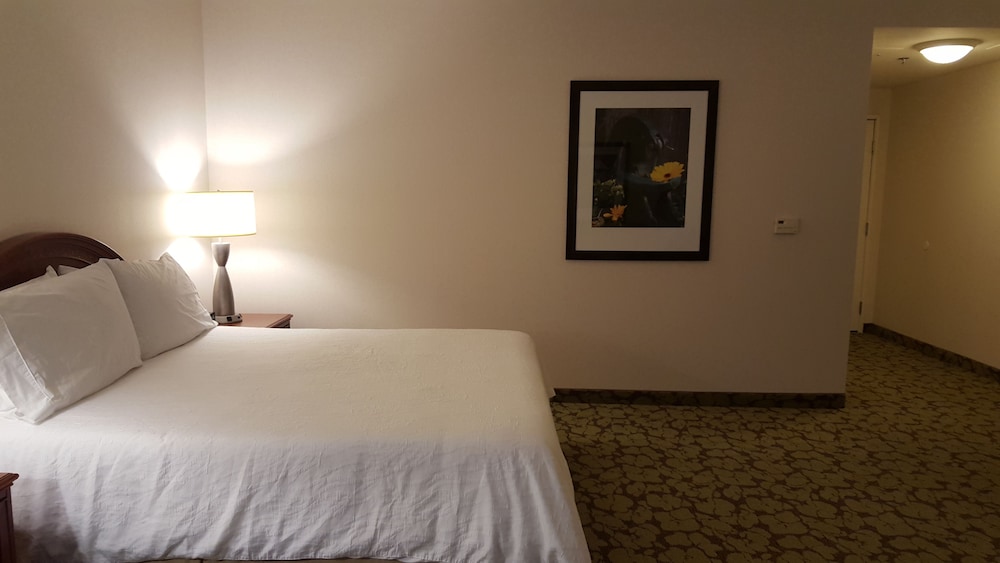 Hilton Garden Inn Redding - photo 17