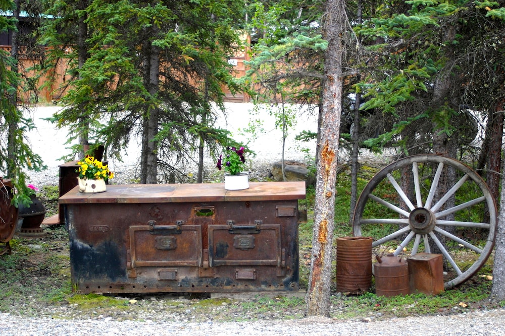 Denali Grizzly Bear Resort - photo 11