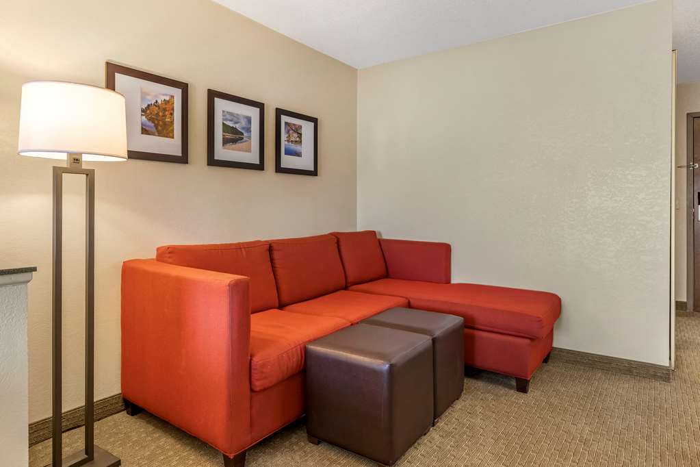 Comfort Suites Grand Rapids North - photo 23