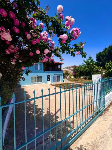 Charmy Blue in Artemida, Greece