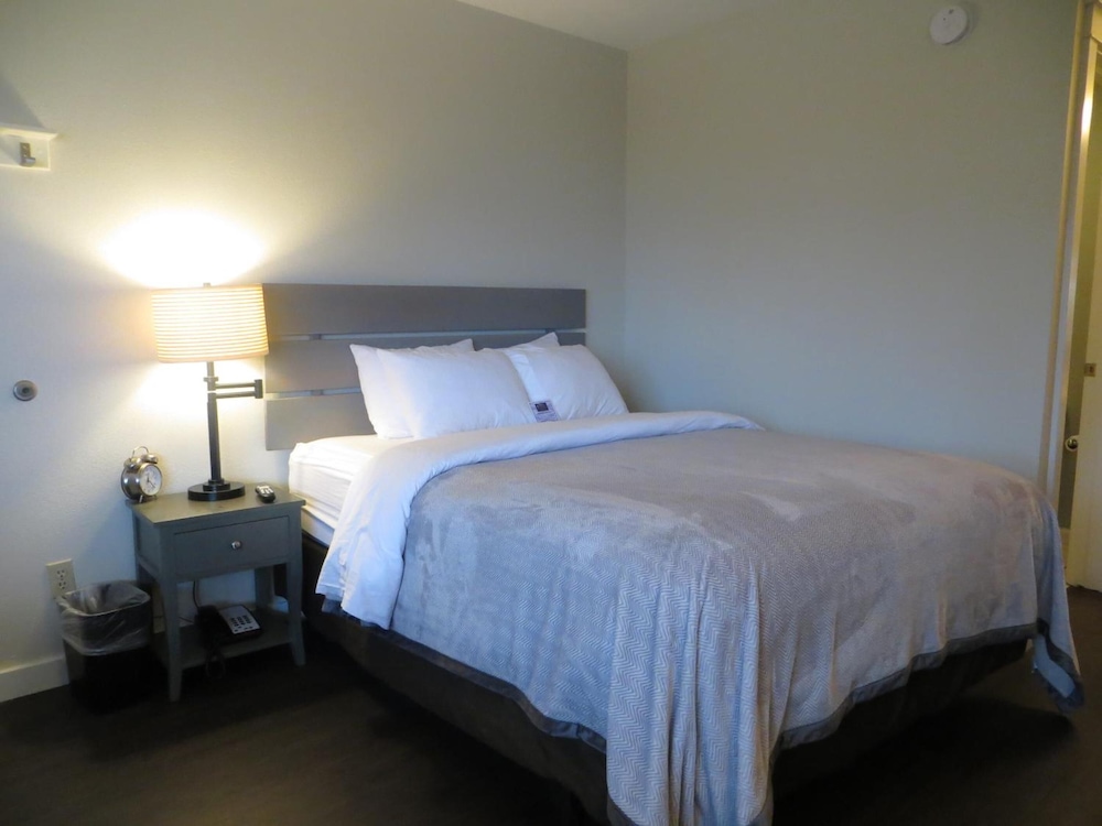 Brio Beach Inn - photo 12
