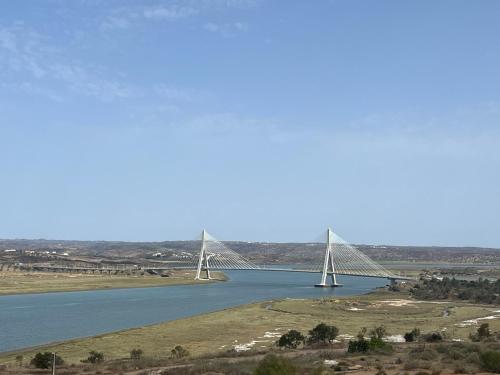 Lila — Ayamonte — photo 5