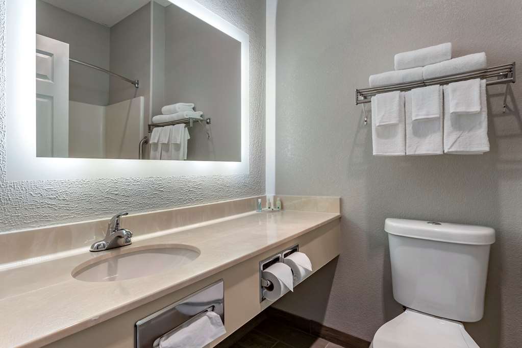 Quality Inn Kirksville - photo 14