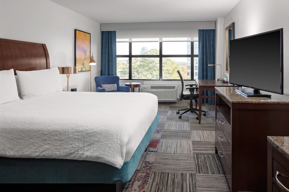 Hilton Garden Inn Atlanta Perimeter Center - photo 9