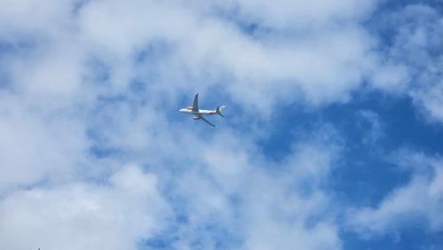 Airport Residence 3 — Otopeni — photo 3