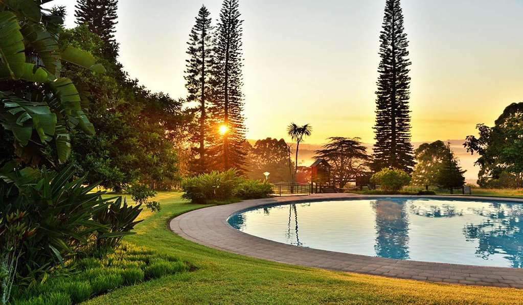 PremierWink Sunset View