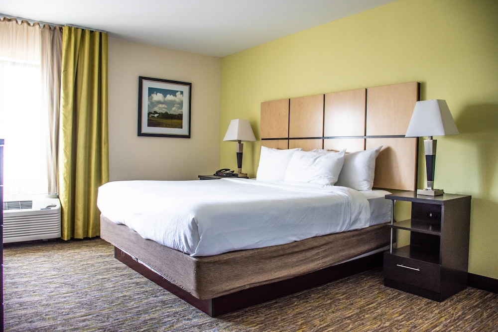 Candlewood Suites : Overland Park W 135th St by IHG - photo 7