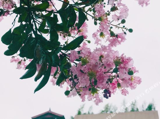 Hanyi Culture Hotel in Hanzhong, People's Republic of China