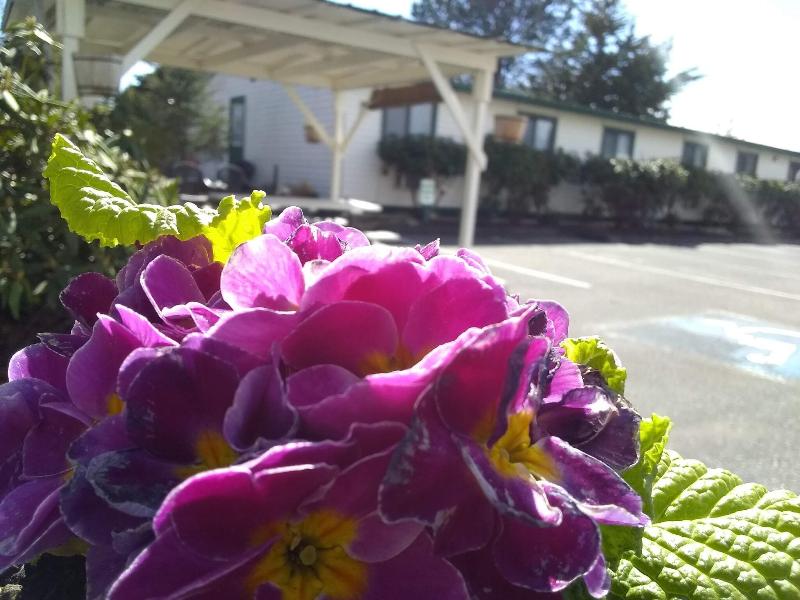 The Orca Inn - photo 27