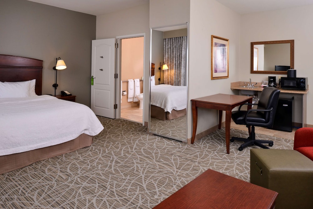 Hampton Inn by Hilton Litchfield - photo 9
