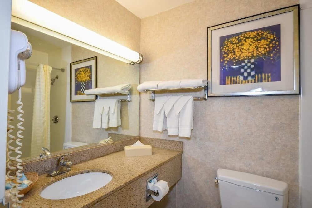 Charles River Inn - photo 13