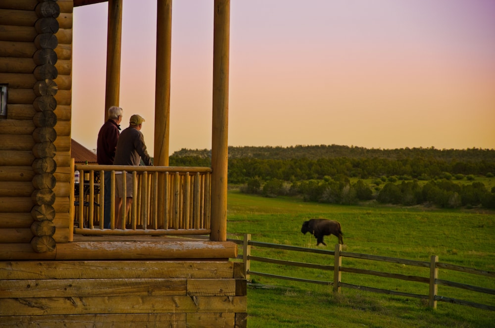Zion Mountain Ranch - photo 50