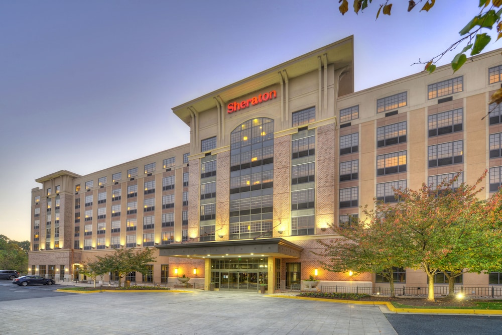Sheraton Baltimore Washington Airport Hotel BWI - photo 50