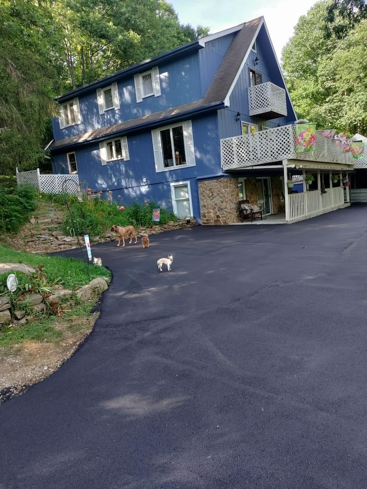 Lil Black Bear Inn - photo 3