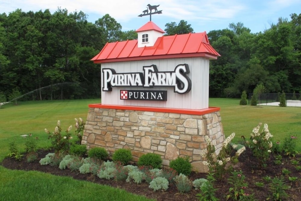 Pinemark Inn & Suites - photo 62
