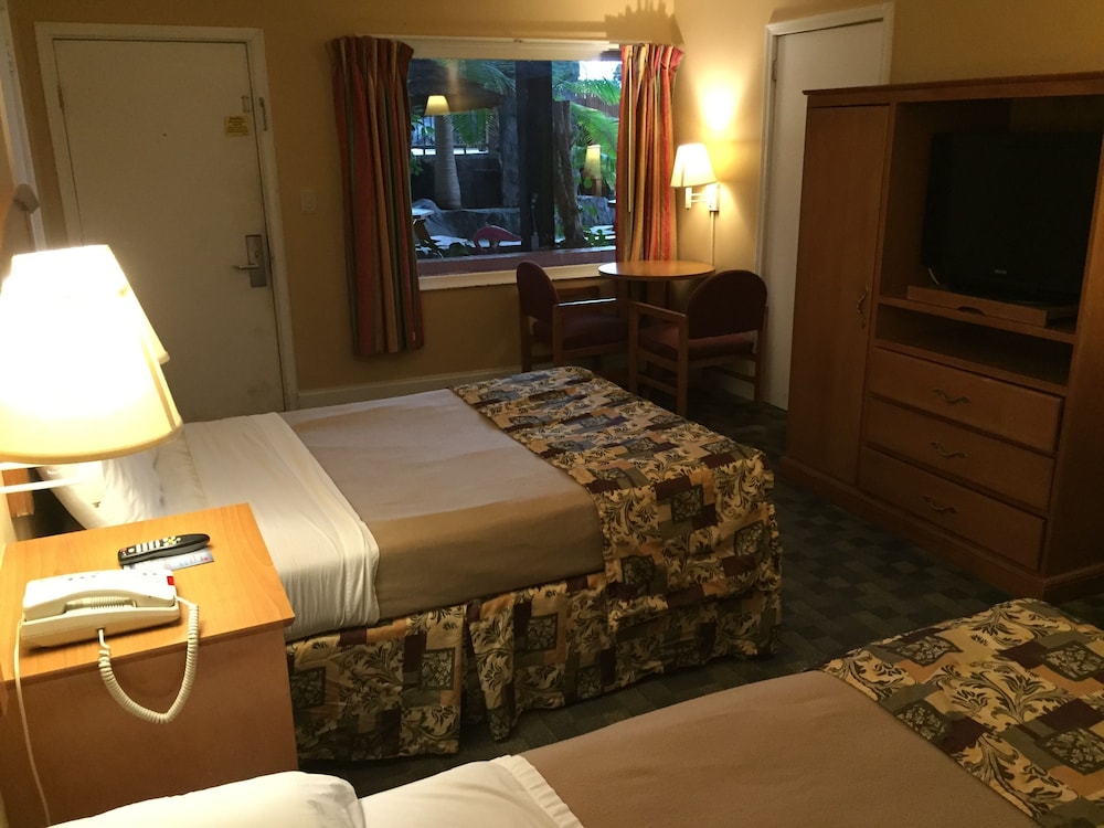 Wildwood Inn Tropical Dome & Theme Suites - photo 37