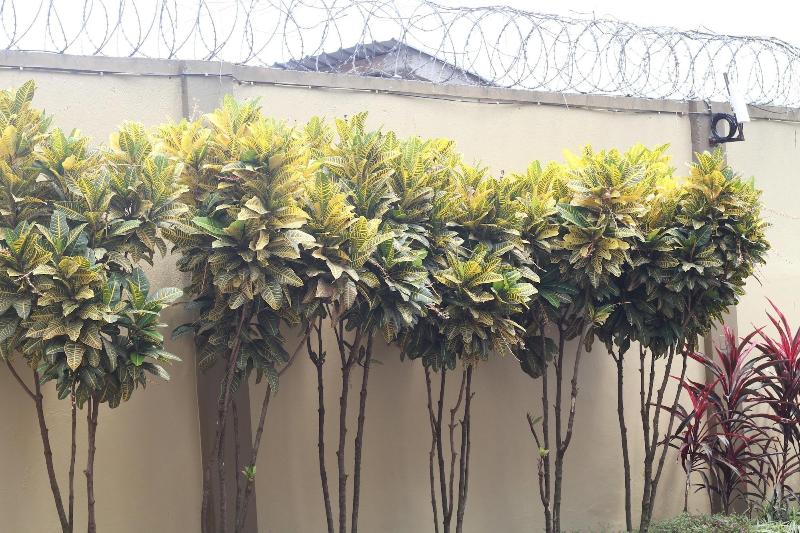 Karibu BB Suites in Entebbe, Republic of Uganda