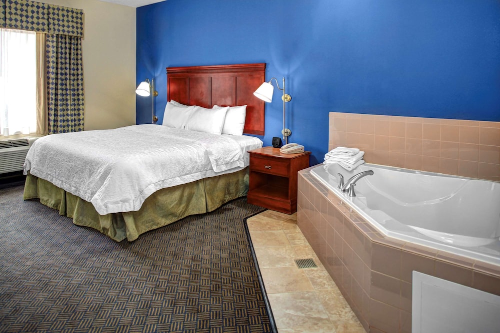 Hampton Inn Coldwater - photo 6