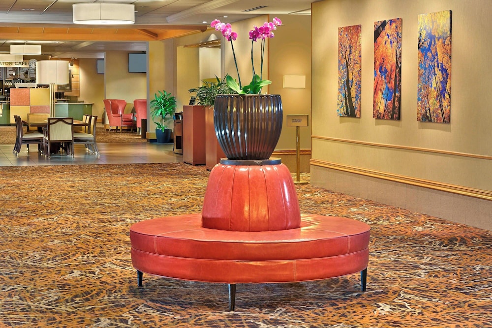 Sheraton Hartford Hotel at Bradley Airport - photo 3