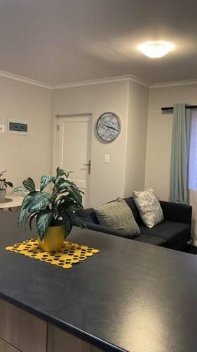 Modest Home in Cape Town