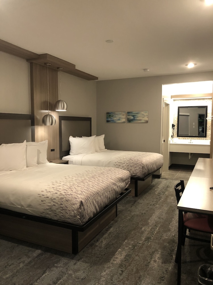 Hotel Solara Hobby Airport - photo 6