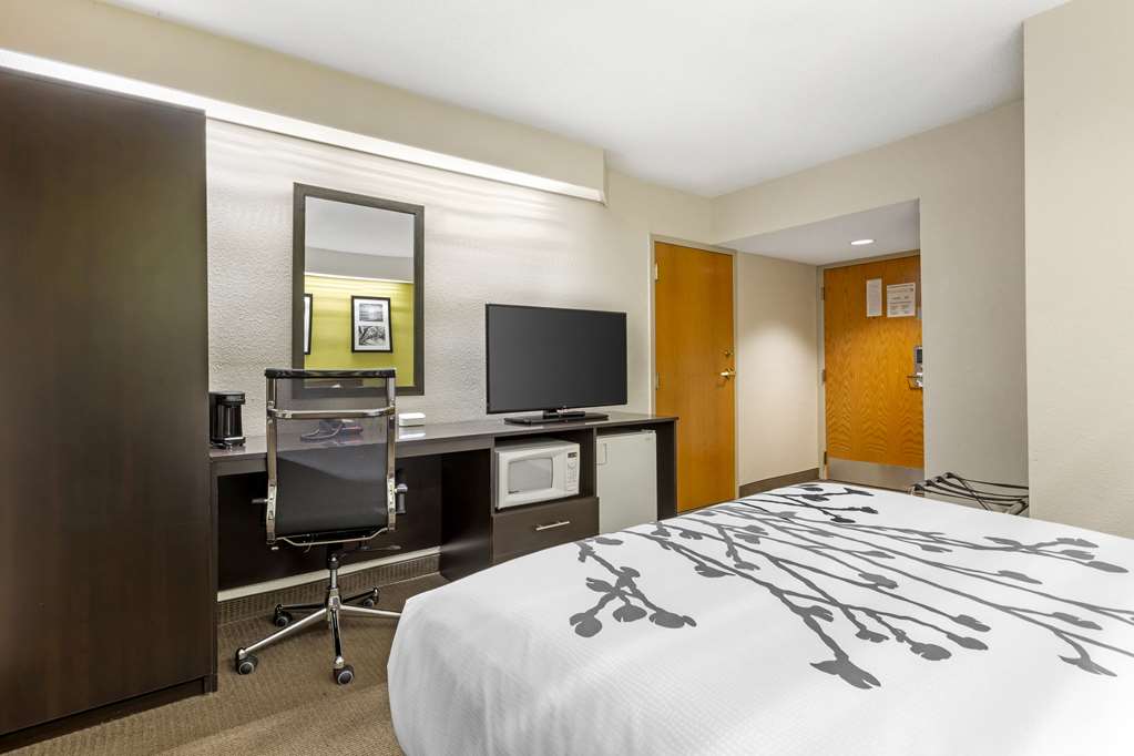 Sleep Inn at Greenville Convention Cente - photo 10