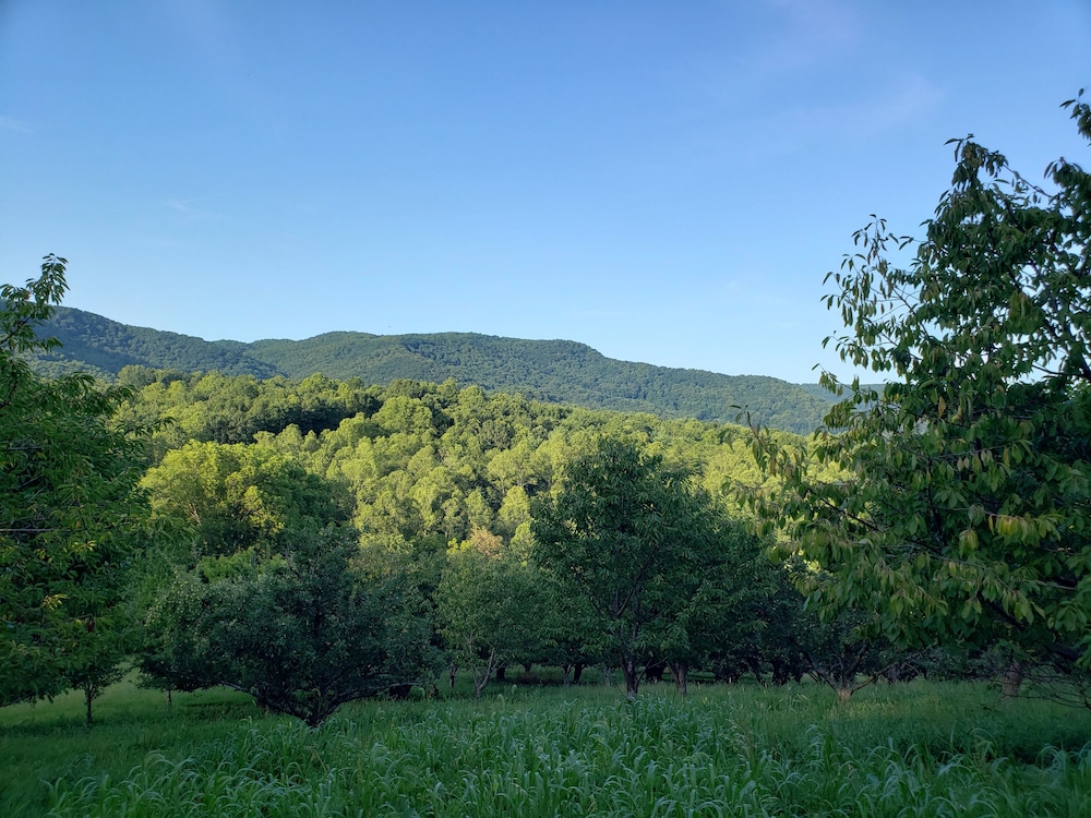 Blue Ridge Manor B&B - photo 36