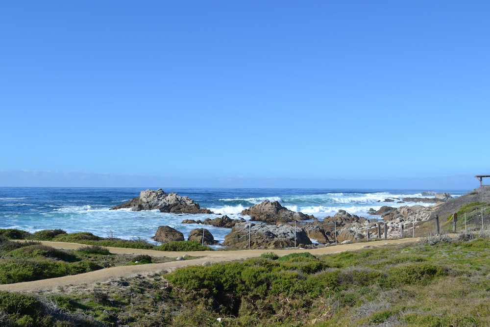 Monterey Peninsula Inn - photo 46
