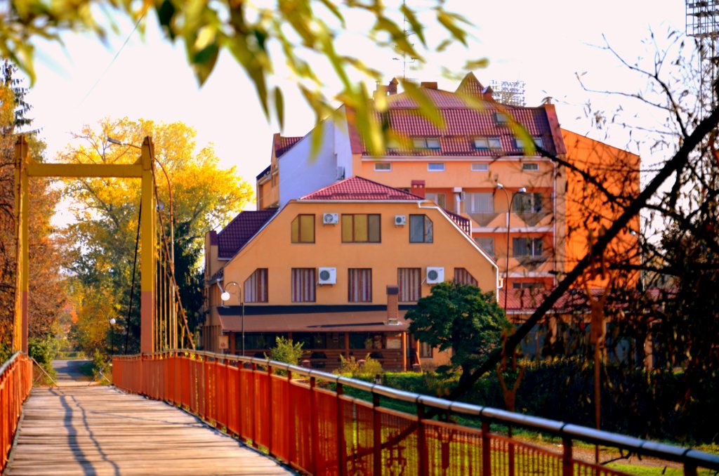 Olymp — Uzhgorod — photo 5
