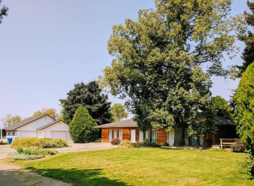Wingate Meridian Cozy Acreage in the heart of the city — 4-Star Luxury Hotel in Meridian, United States