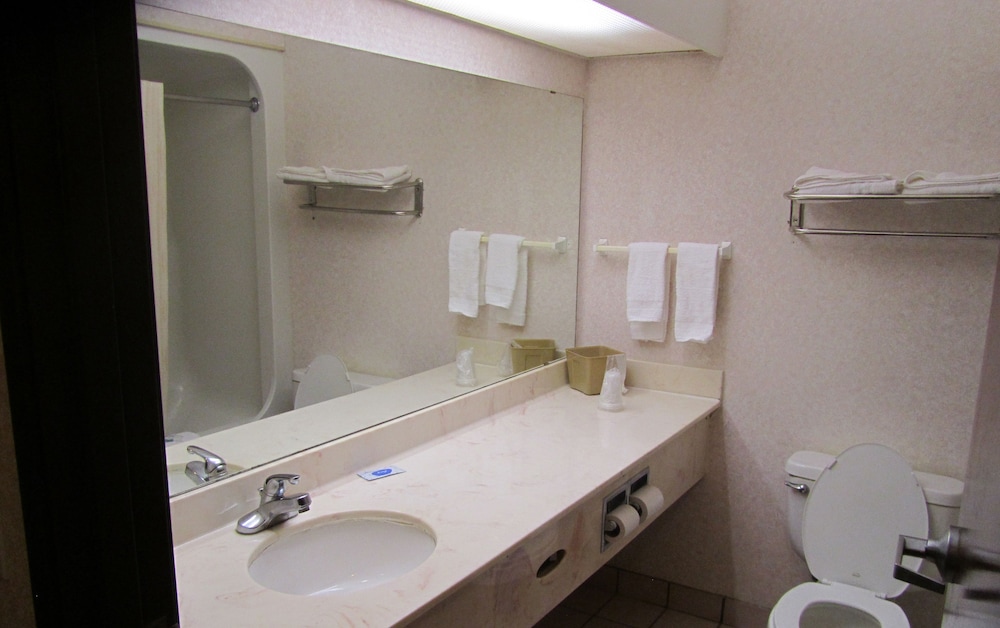 Executive Inn and Suites Wichita Falls - photo 47