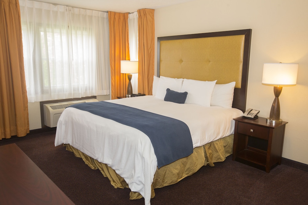Ivy Court Inn & Suites - photo 14
