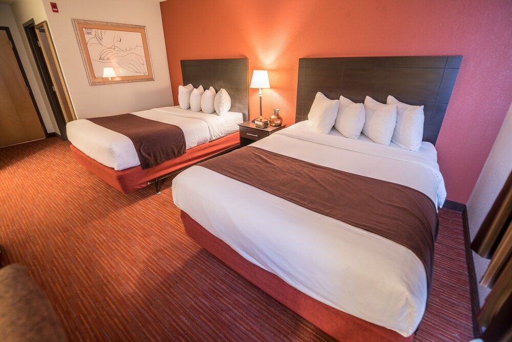 316 Hotel - photo 10