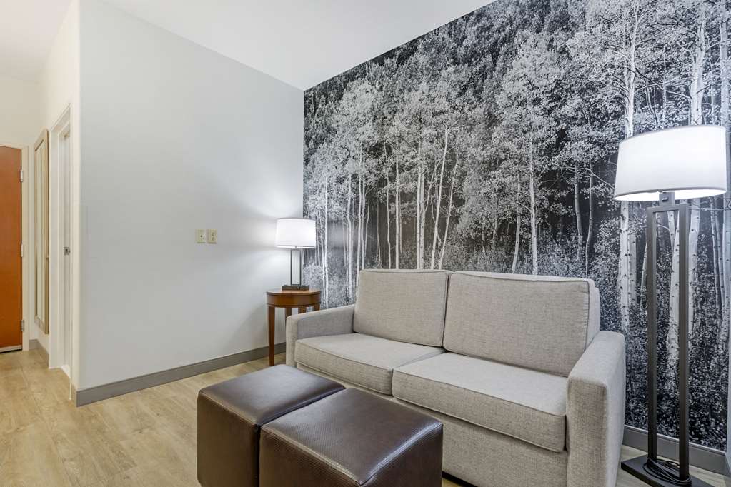 Comfort Suites Golden West on Evergreen Parkway - photo 15