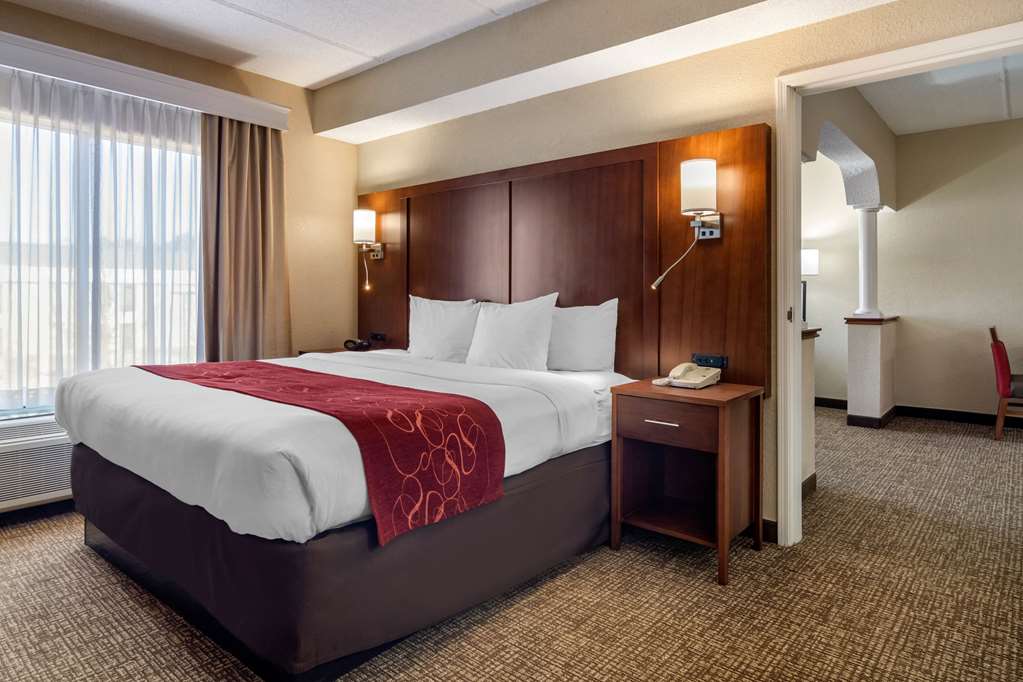 Comfort Suites Woodstock Atlanta North - photo 24
