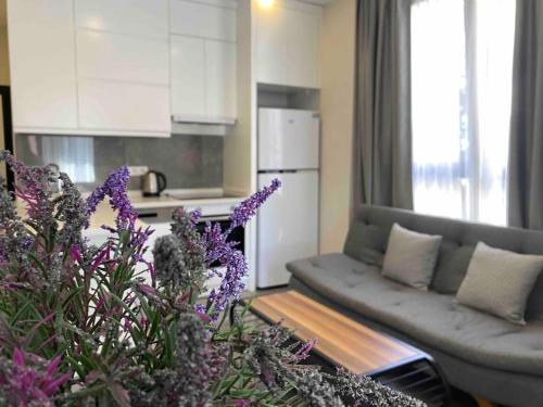 Camelia 2 Beautiful 1 1 on Cleopatra — 4-Star Luxury Hotel in Alanya, Turkey