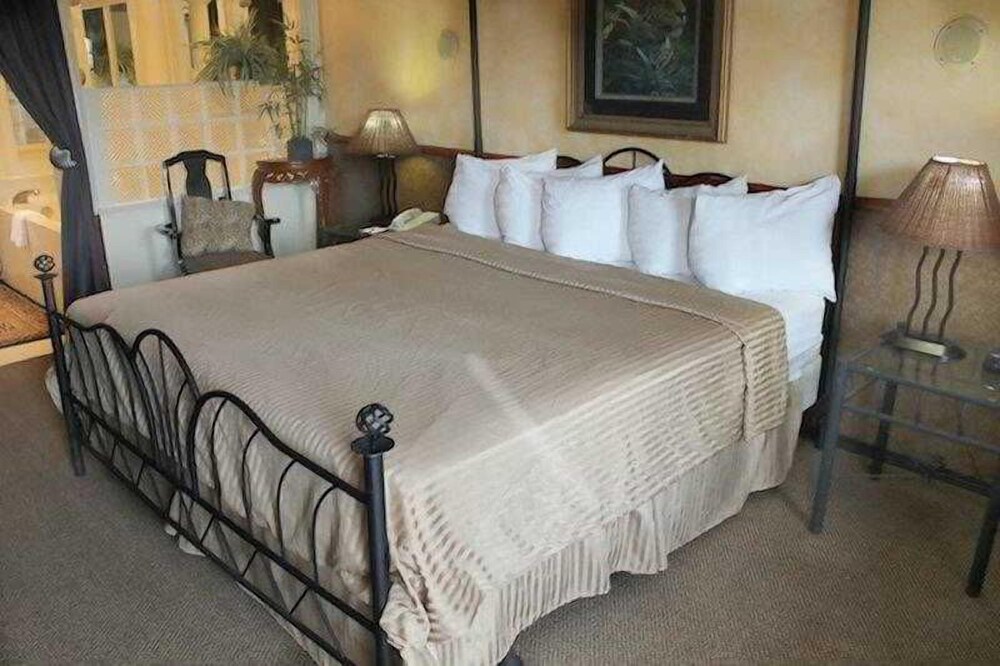 Best Western Music City Inn - photo 33
