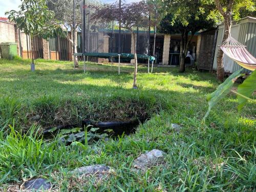 La Casa de las Ranas — Poio — photo 2
