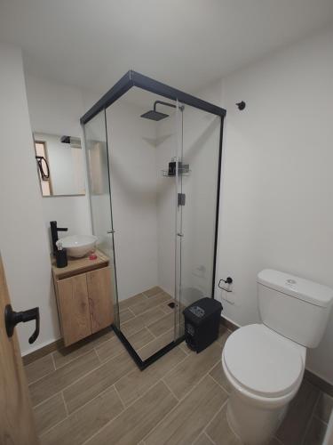 Metro floresta acogedor apartaestudio — 4-Star Luxury Hotel in Medellin, Colombia