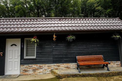 Studio Glossa in Deva, Romania