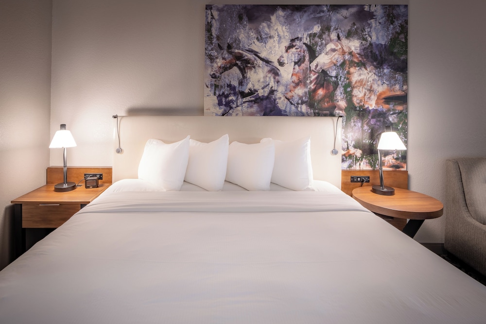 DoubleTree by Hilton Dallas Farmers Branch - photo 14