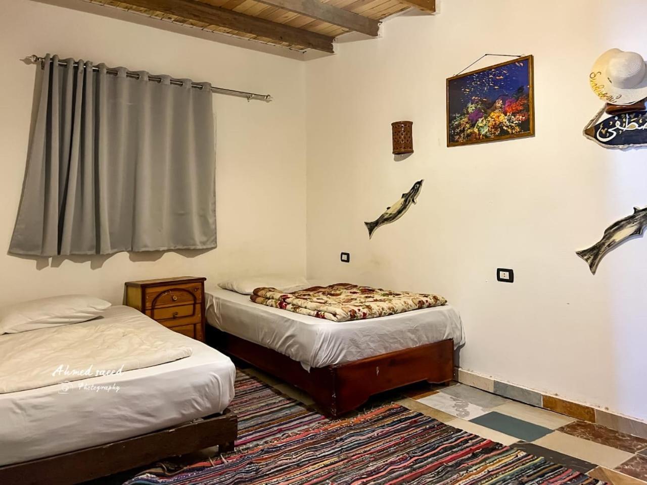 The comfort zone - carbon neutral hotel in Dahab