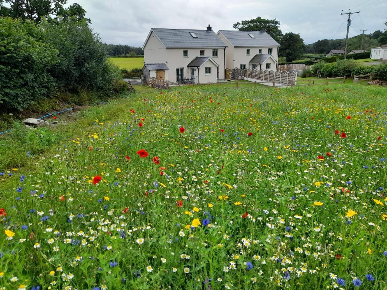 Family Country Cottage with Stunning Mountain Views — 4-Star Luxury Hotel in Llandovery, United Kingdom