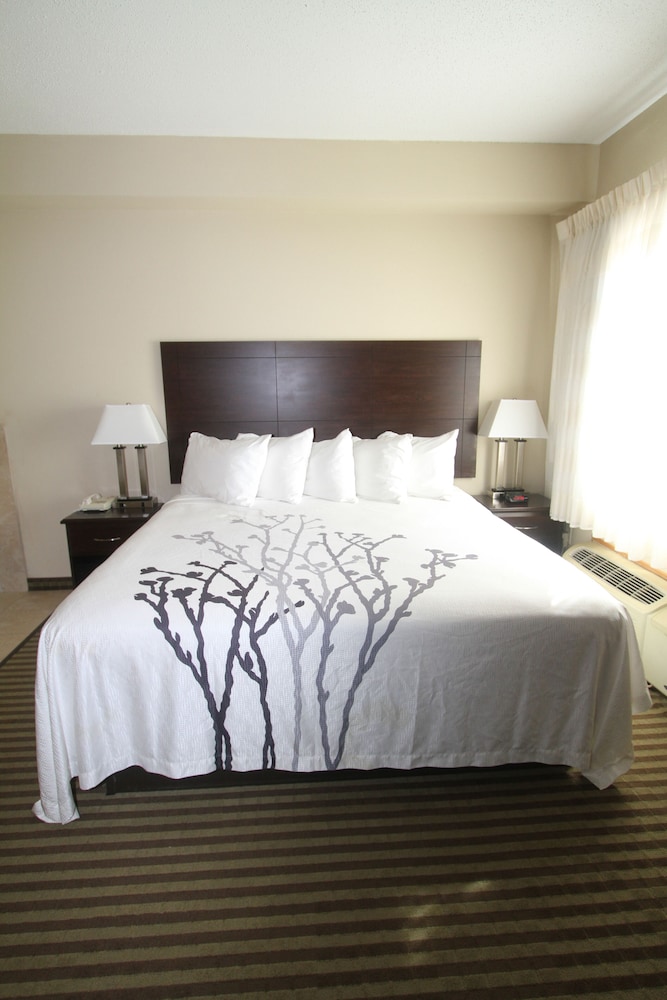 Bowman Inn & Suites - photo 5