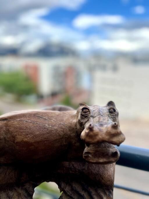 The Hippo Luxury Apartment