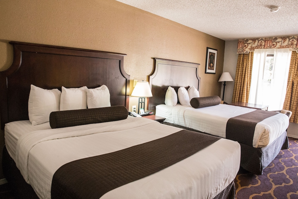 Mockingbird Inn & Suites - photo 15