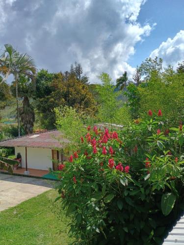 Finca Animas - carbon neutral hotel in Llucmajor