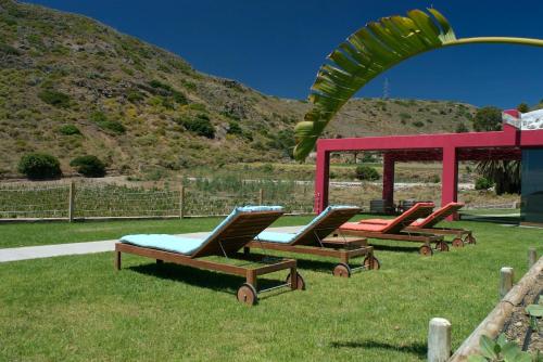 Finca La Salud — Telde — photo 2