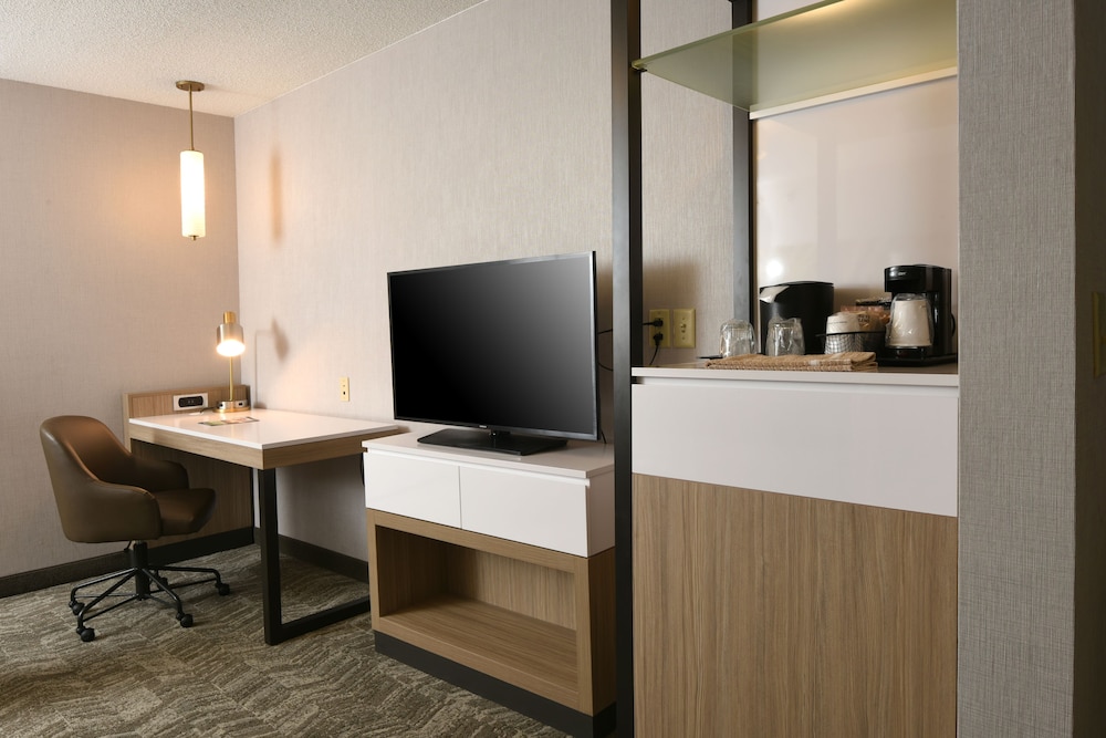 SpringHill Suites Des Moines West - photo 12