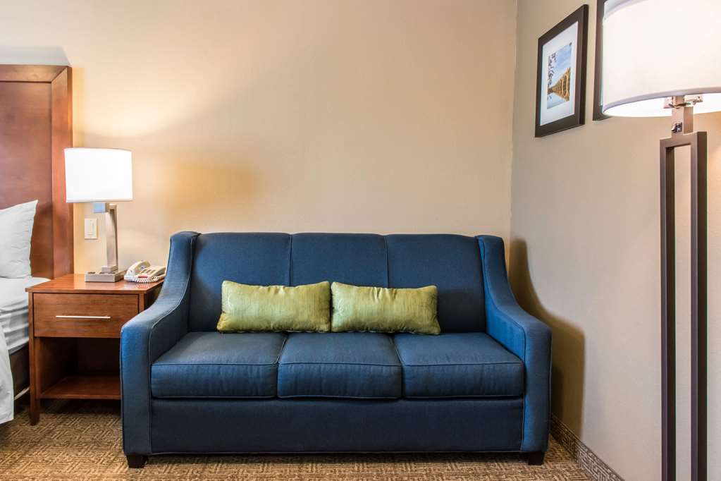 Comfort Inn Columbia Lancaster - photo 16